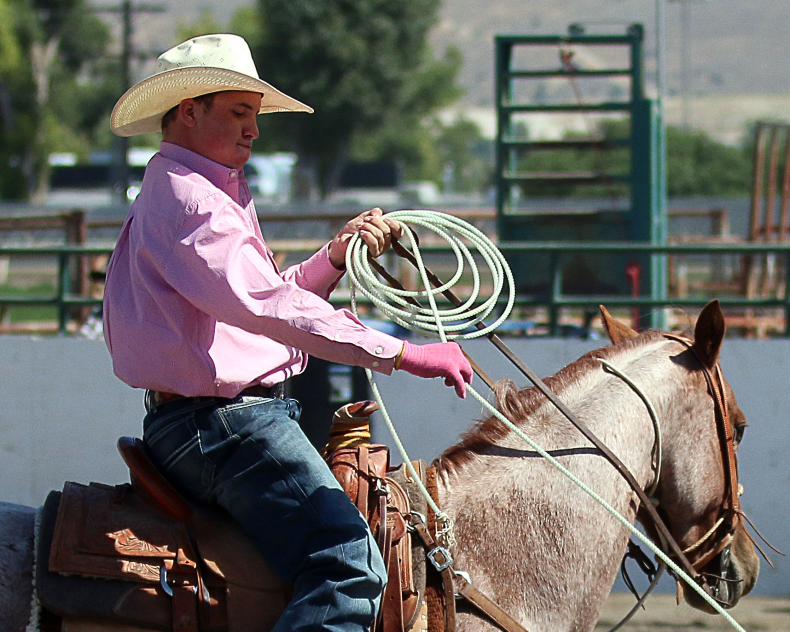 2018 Elko County Fair Open Branding Finals (27).JPG